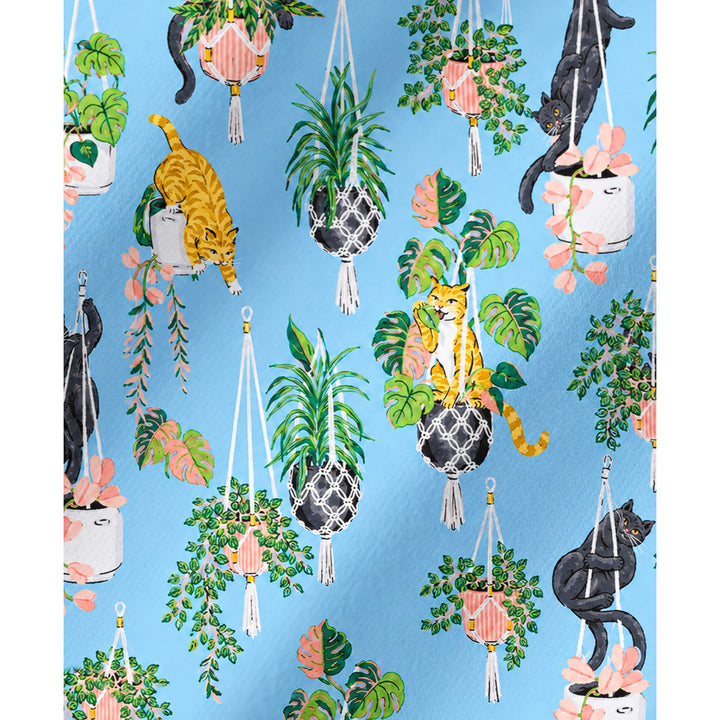 Black Cat & Pumpkin Patch Print Long Pajama Set  Sale - CottonPoppy
